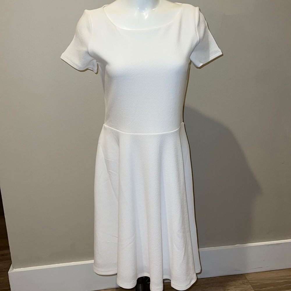 NWT White House Black Market dress